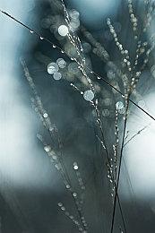 《生化危机7》7月登陆iPhone 《生化危机2：重制版》也在开发中